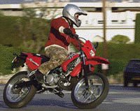 mbk-x-limit-enduro.jpg (9956 octets)