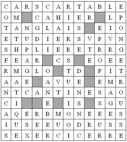 grille.jpg (50643 octets)